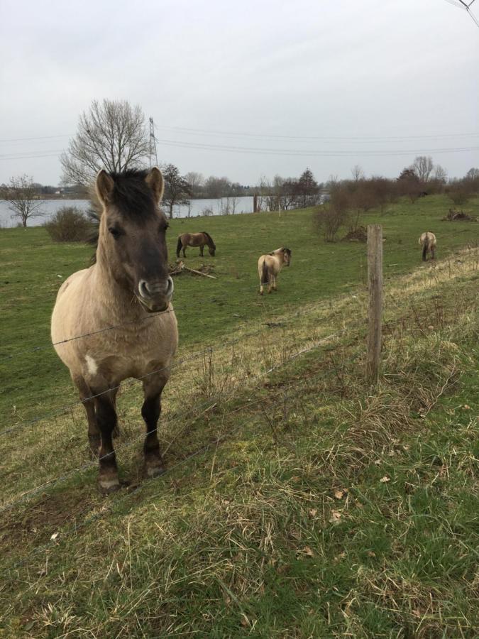 Chalet Or Nearby Roermond Outlet *
